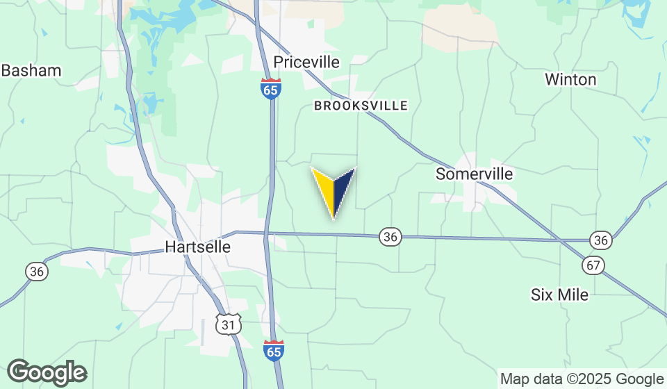 876 Highway 36 E, Hartselle, AL for sale - Building Photo - Image 2 of 2