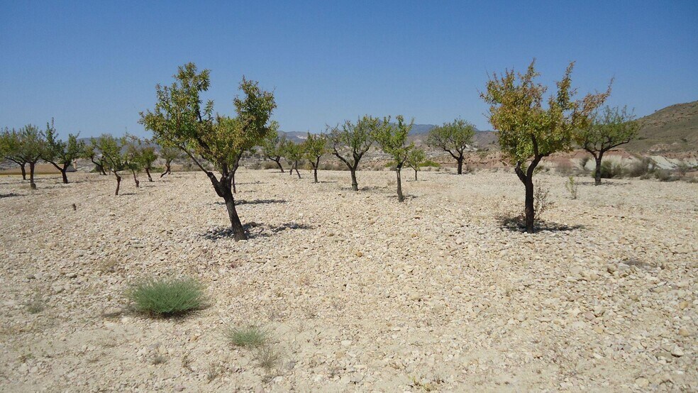 Land in Abanilla for sale - Building Photo - Image 3 of 7