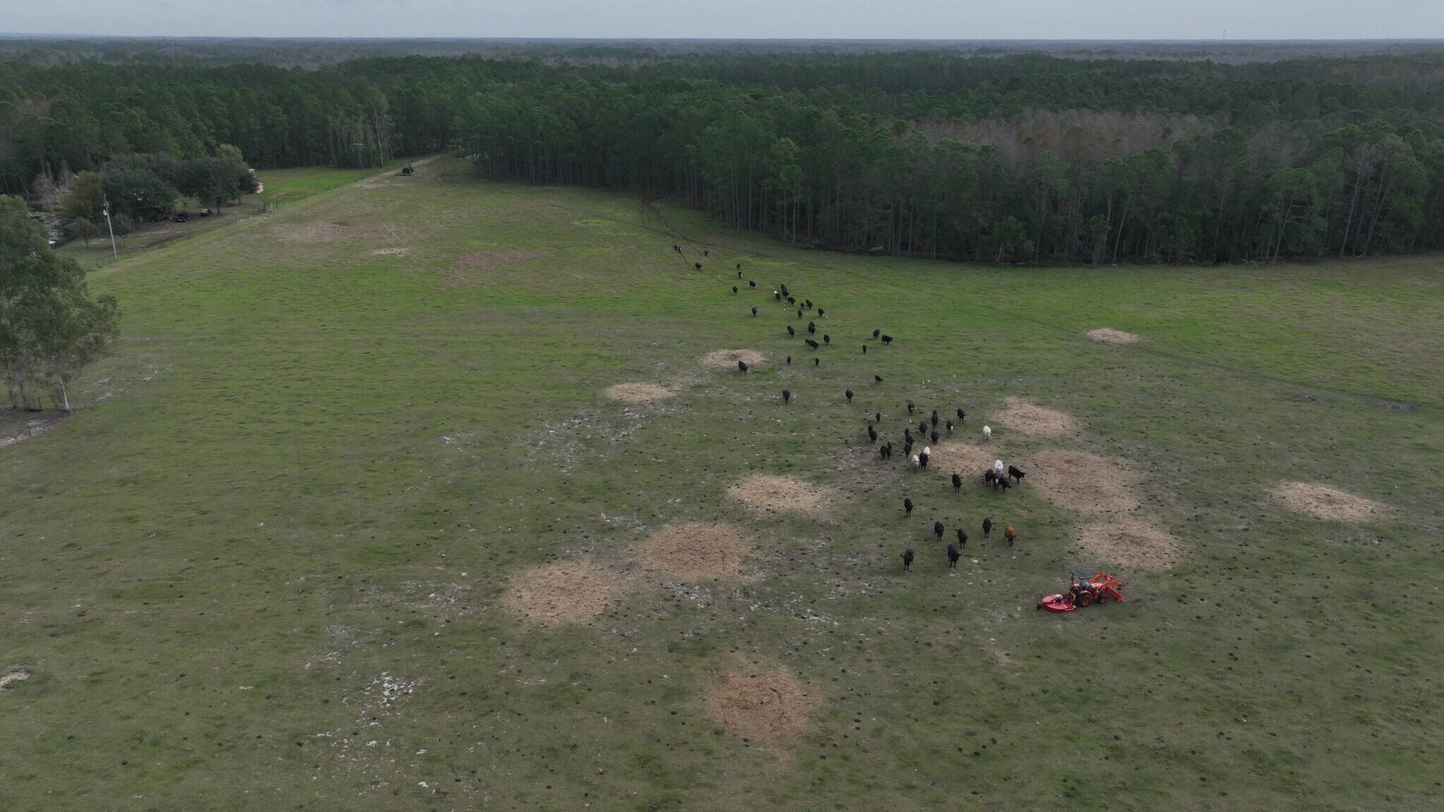 Berry Groves Rd, Clermont, FL for sale Building Photo- Image 1 of 1