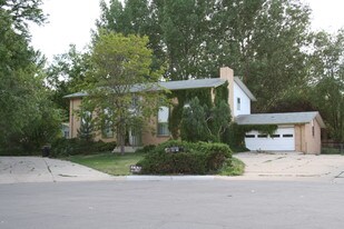 1331 Merl Pl, Longmont CO - 1031 Exchange Property