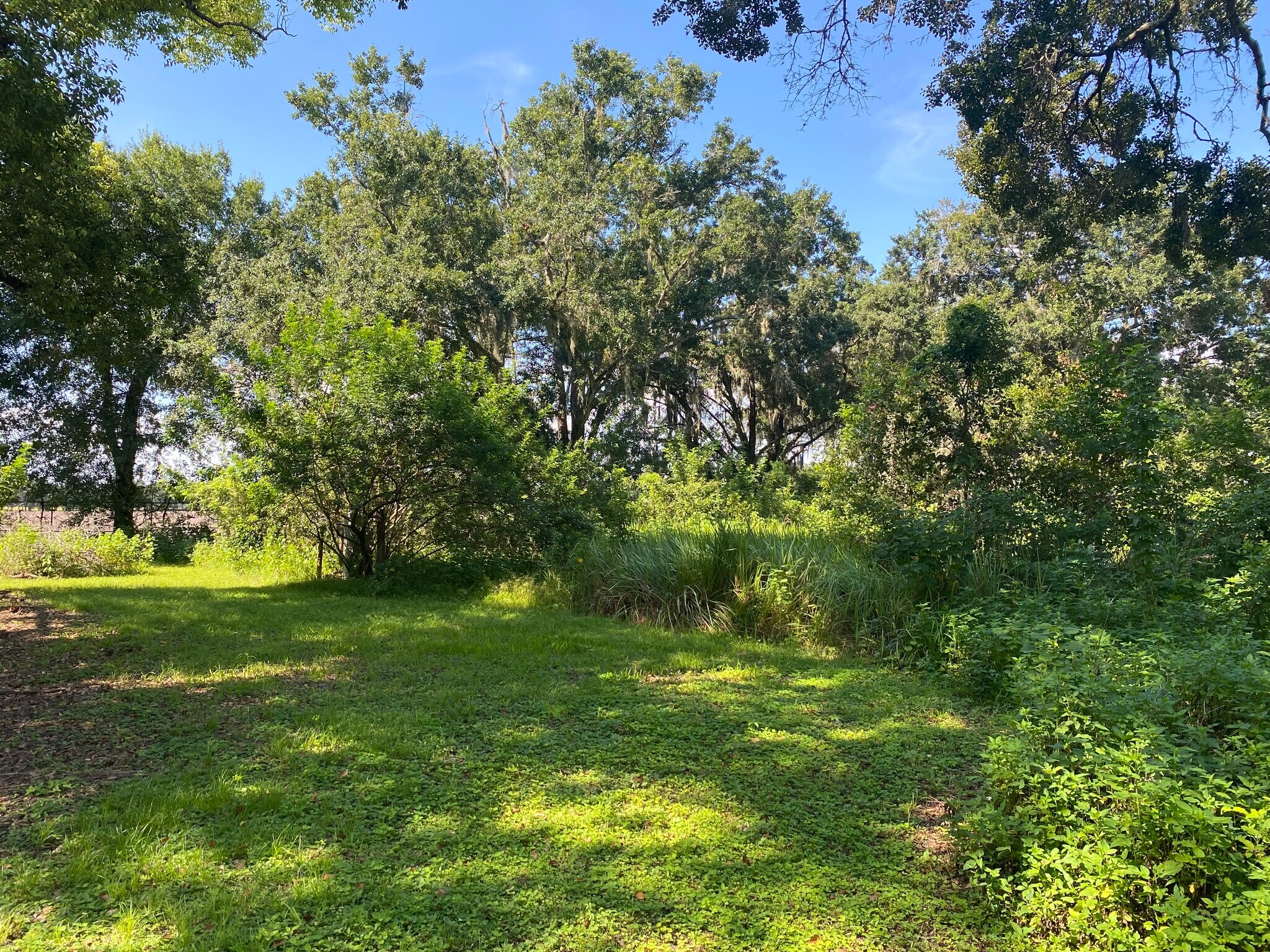 13707 Walden Sheffield Rd, Dover, FL 33527