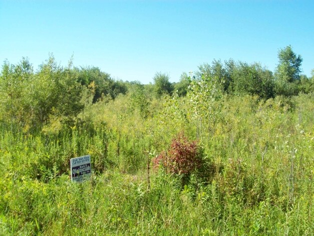 8598 Van Dornick Rd, Pulaski, WI for sale Primary Photo- Image 1 of 1
