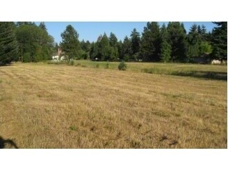 Oak Island Dr, Veneta, OR for sale Primary Photo- Image 1 of 1