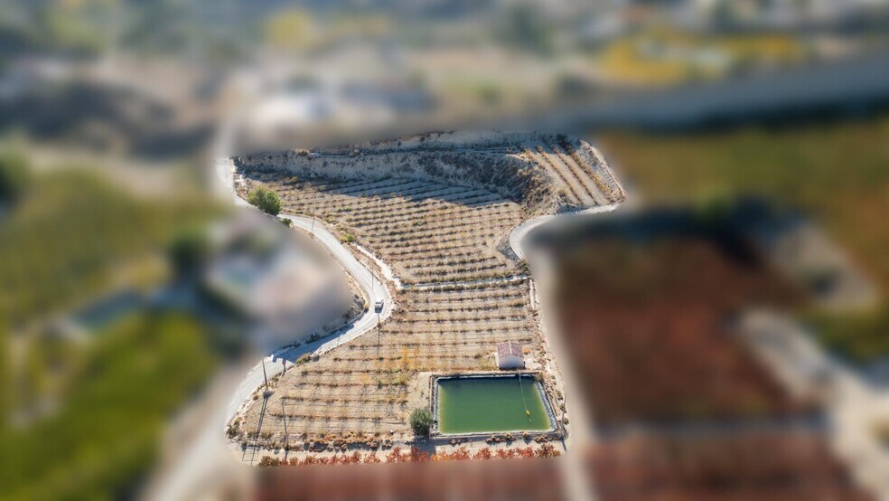 Land in Abarán, Murcia for sale - Aerial - Image 1 of 13