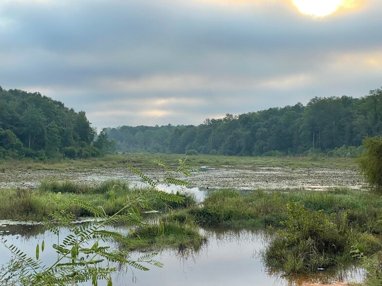 00 Bull Branch, Coffee Springs, AL for sale - Other - Image 2 of 6