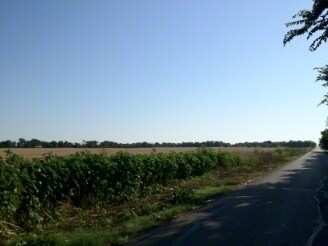 Warren Rd, Waco, TX for sale - Primary Photo - Image 1 of 1