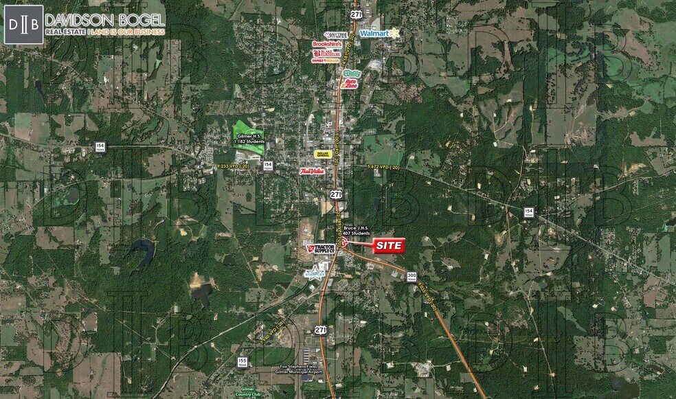 Highway 300, Gilmer, TX for lease - Other - Image 2 of 2