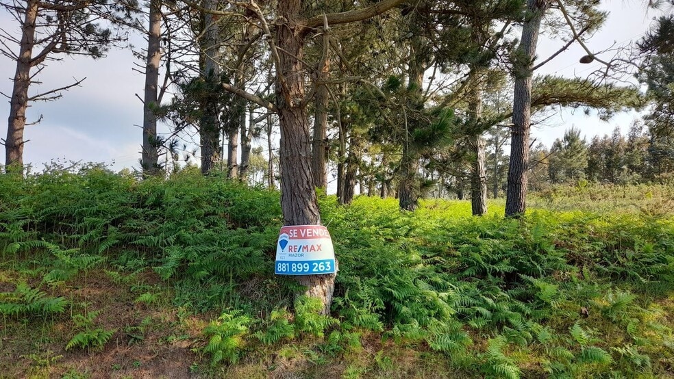 Lugar Val Arriba, 3, A Laracha, La Coruna for sale - Building Photo - Image 1 of 28