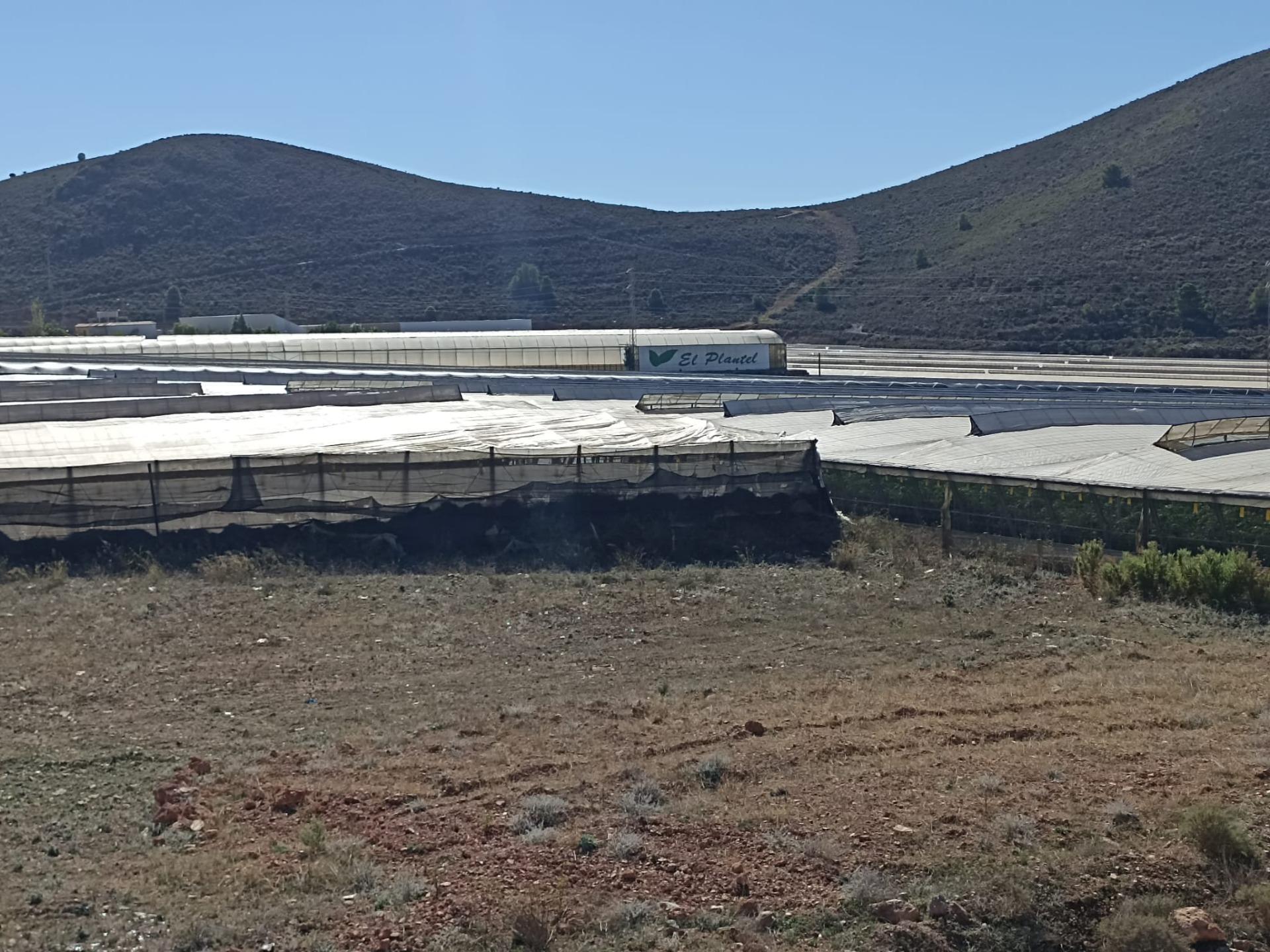 Land in Dalías for sale Building Photo- Image 1 of 10