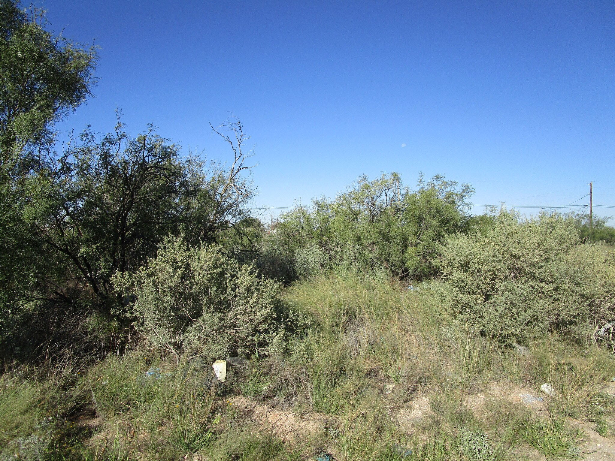 0 W 15th St, Monahans, TX for sale Other- Image 1 of 1