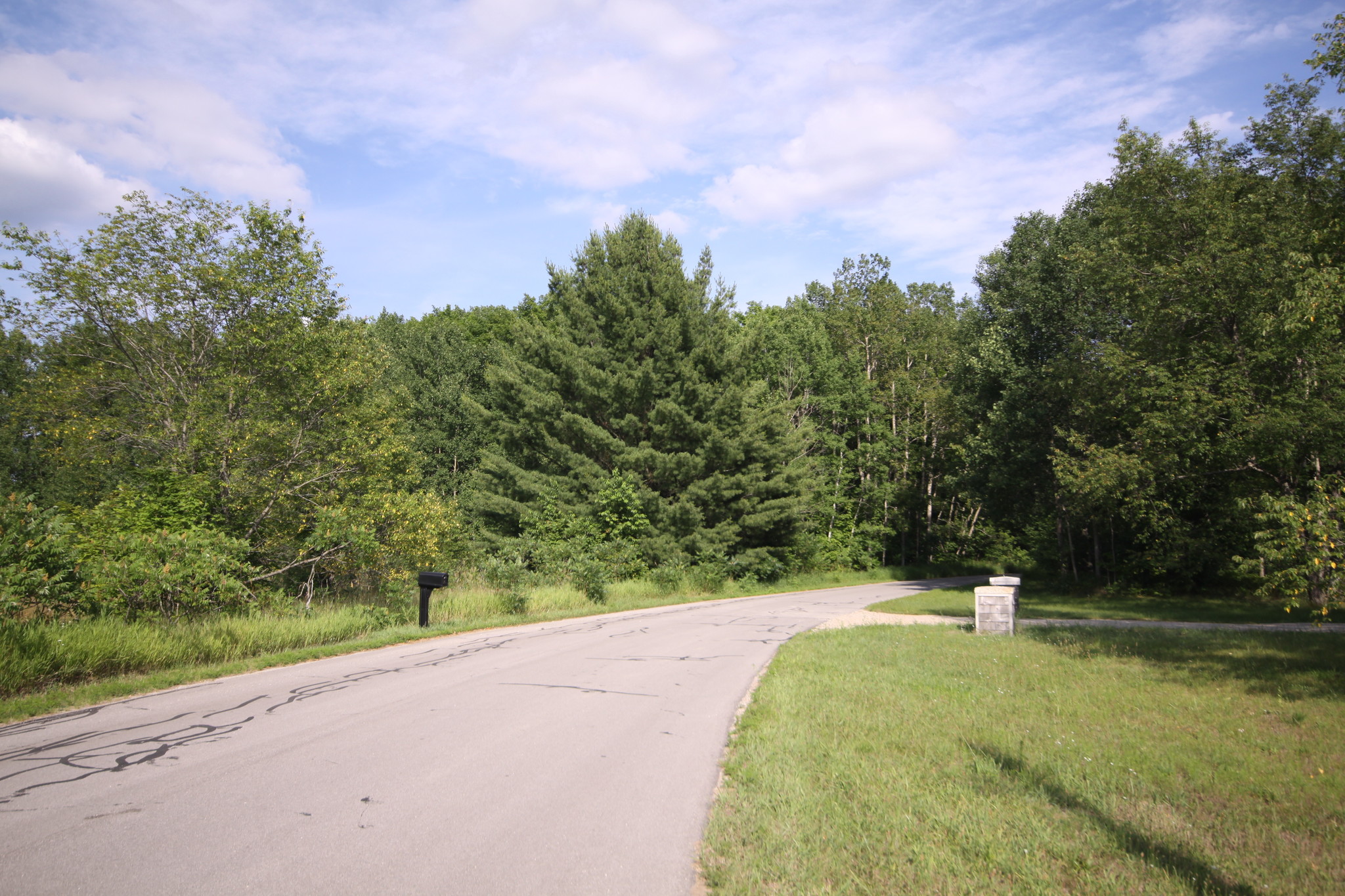 Ottawa Trail, Buckley, MI for sale Other- Image 1 of 1