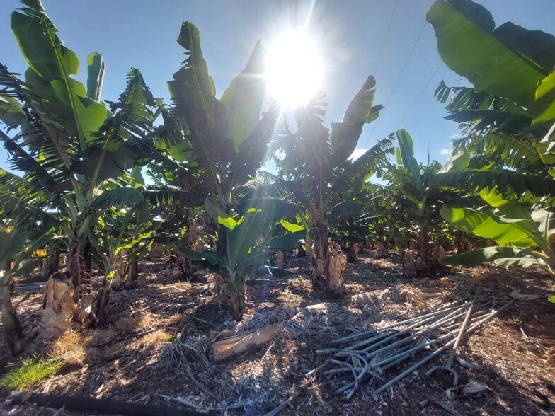 Land in San Cristóbal de La Laguna, Santa Cruz de Tenerife for sale - Building Photo - Image 1 of 17
