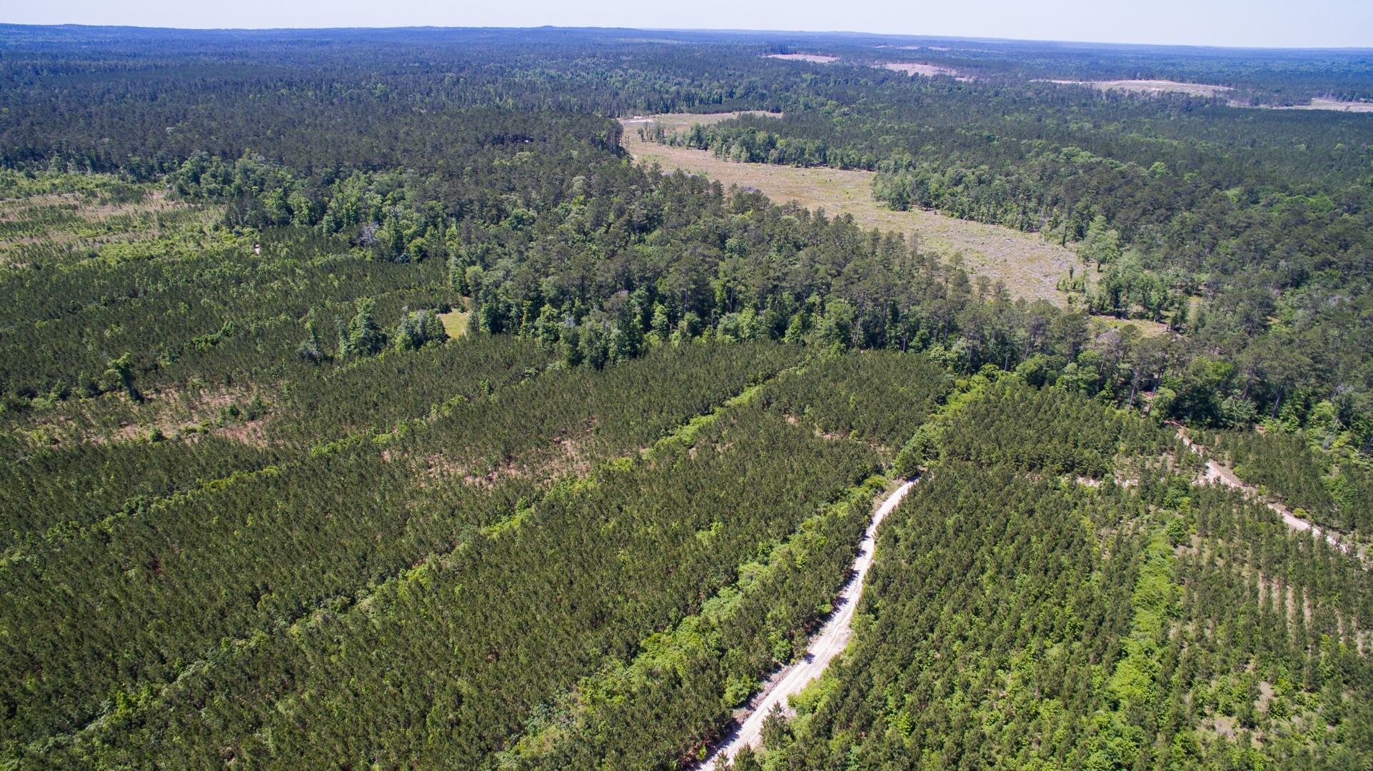 2135 County Road 3400, Colmesneil, TX for sale Other- Image 1 of 1