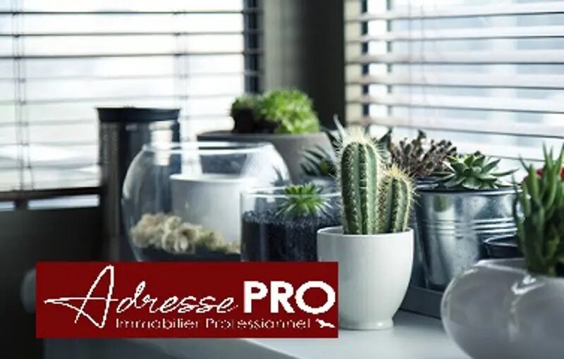 Retail in La Rochelle for lease - Interior Photo - Image 2 of 3