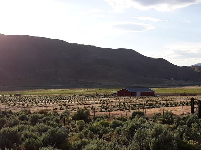 3995 Bacon Rind Rd, Reno, NV for sale Primary Photo- Image 1 of 1