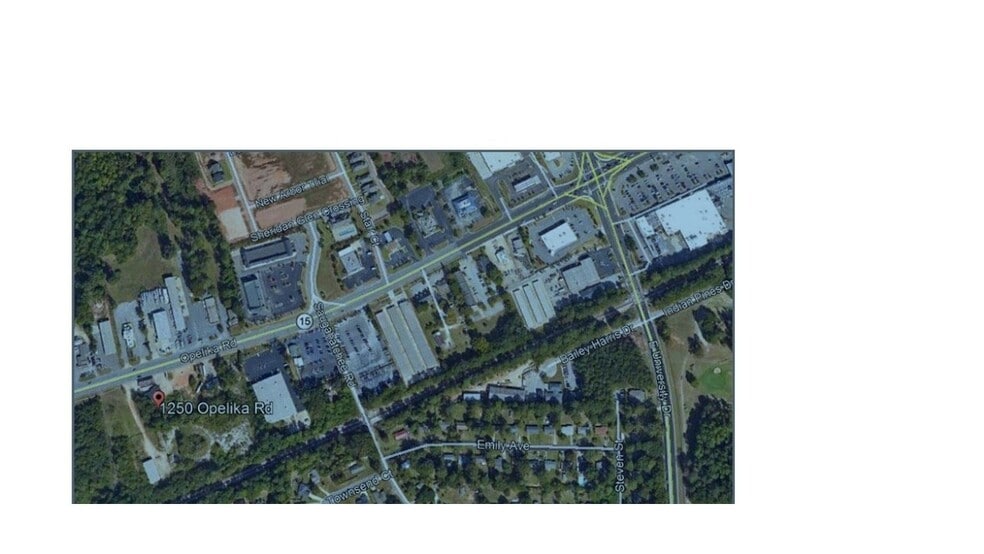 1250 Opelika Rd, Auburn, AL for sale - Primary Photo - Image 1 of 1