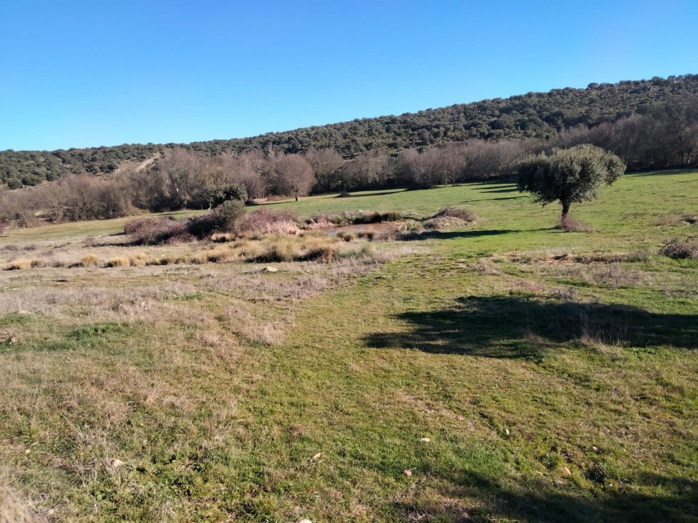 Land in Encina de San Silvestre for sale Building Photo- Image 1 of 6