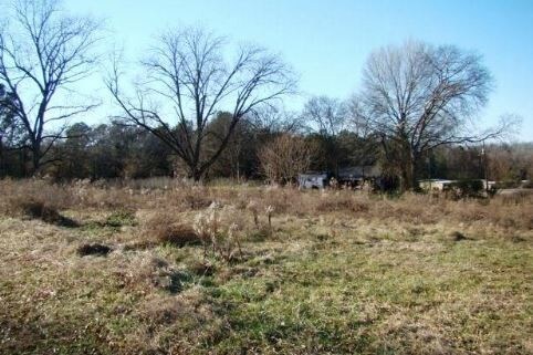 6185 HWY 431 N, Alexandria, AL for sale - Primary Photo - Image 1 of 1