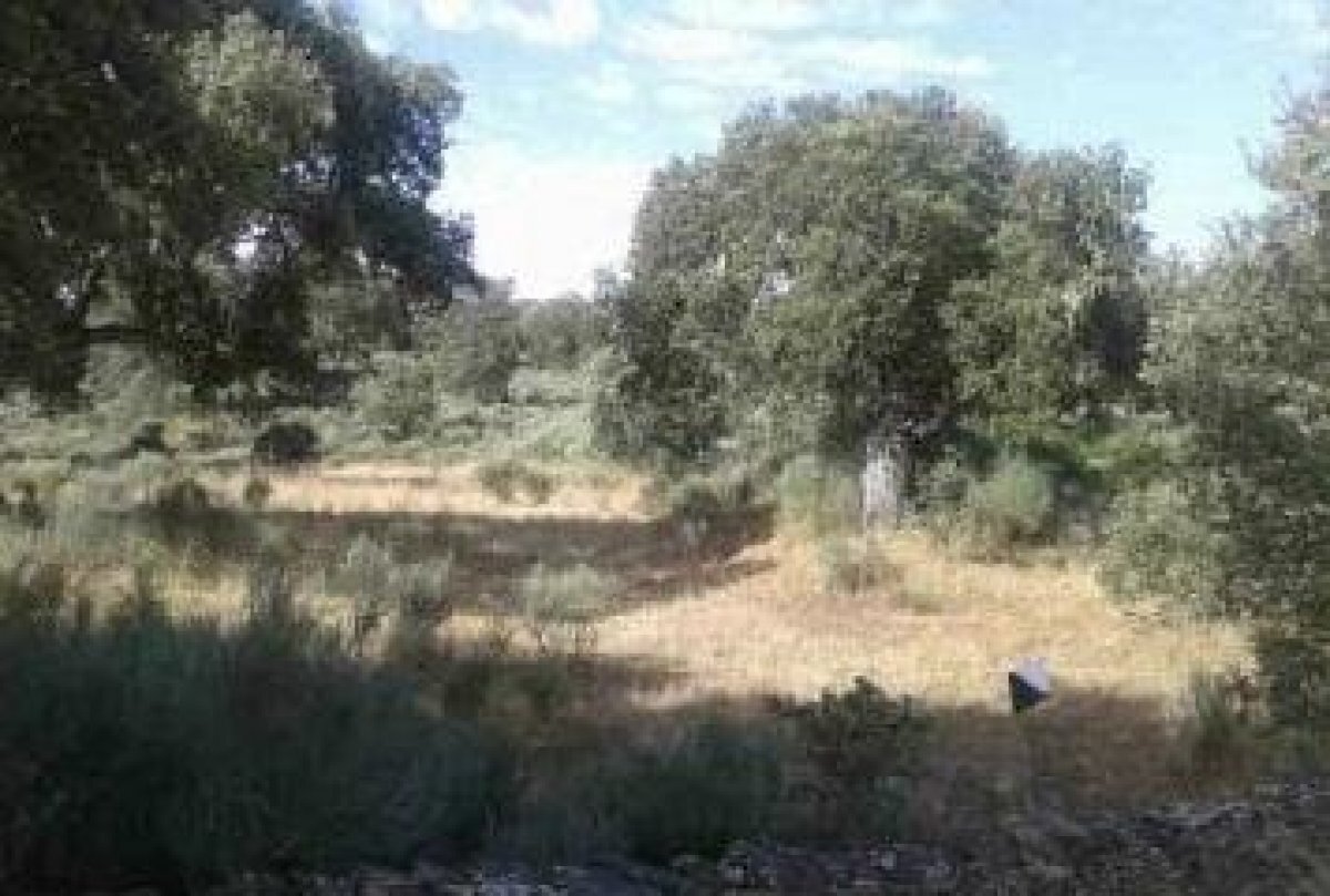 Land in Aldea del Obispo for sale Building Photo- Image 1 of 3