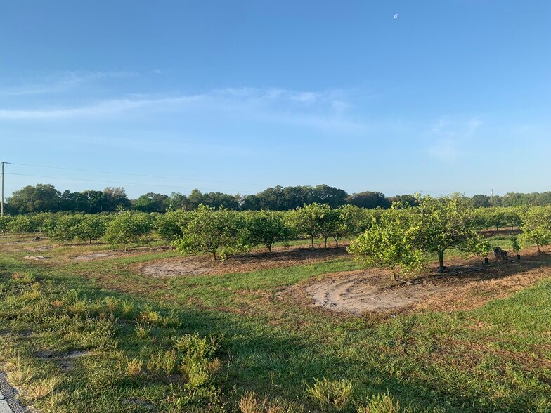 3303 SW Hillsborough Ave, Arcadia, FL for sale - Primary Photo - Image 1 of 1