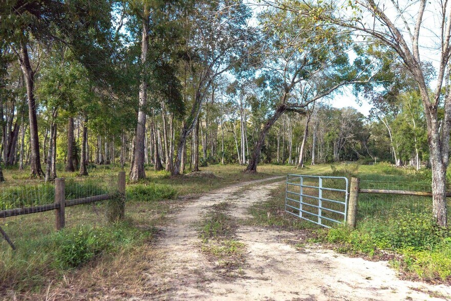 Corkwood Ln, Astatula, FL 34705