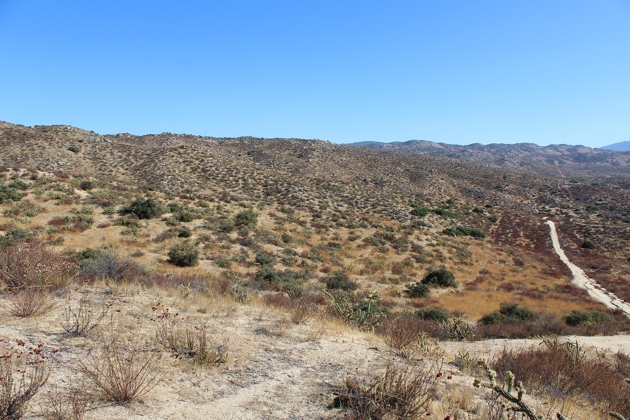 Hwy 371, Aguanga, CA for sale Primary Photo- Image 1 of 1