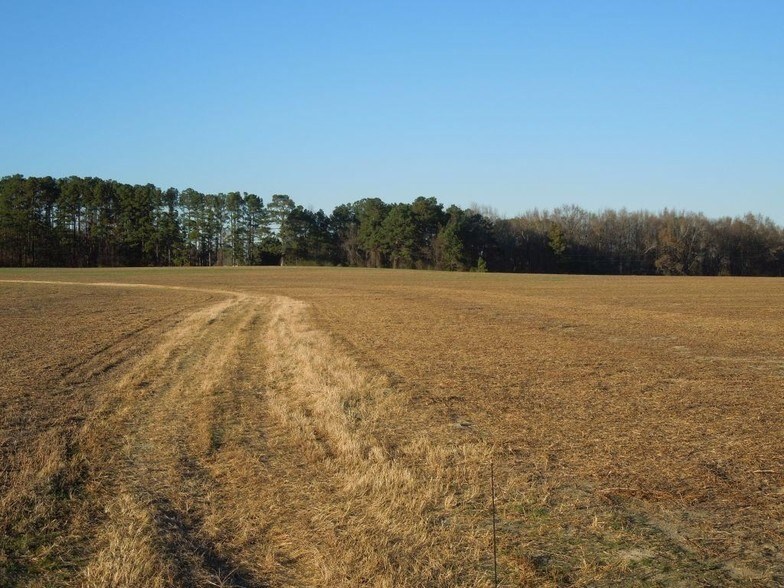 Davistown & Rolesville Rd, Wendell, NC 27591