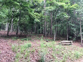 More details for 1212 Orchard Lake Drive, Clarkesville, GA - Land for Sale