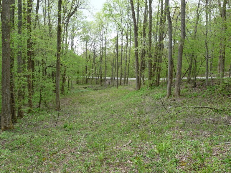 0 Highway 52, Ellijay, GA for sale - Other - Image 1 of 1