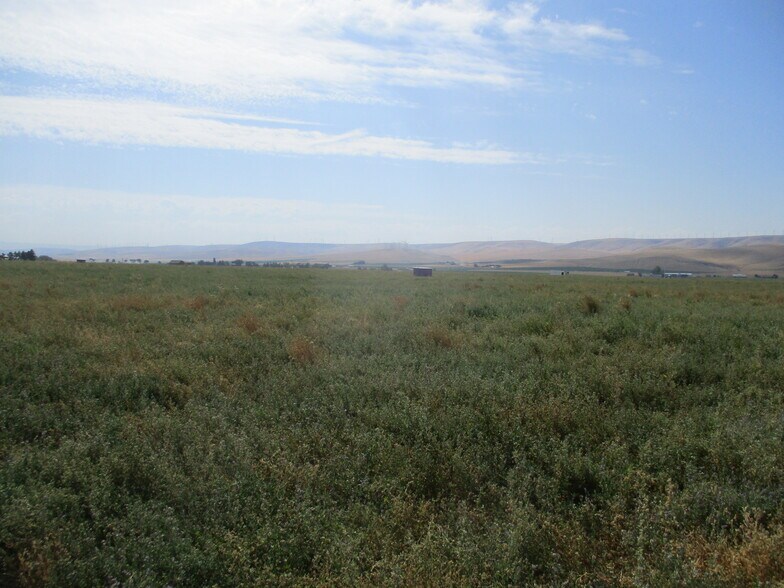 Thurber, Touchet, WA 99360 tbd Thurber RdGardena Dist. 53, Touchet