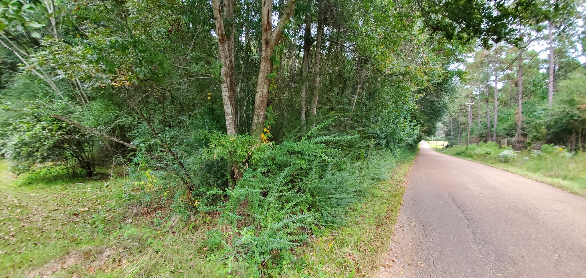 1064 W Congress St, Brookhaven, MS for sale Primary Photo- Image 1 of 7