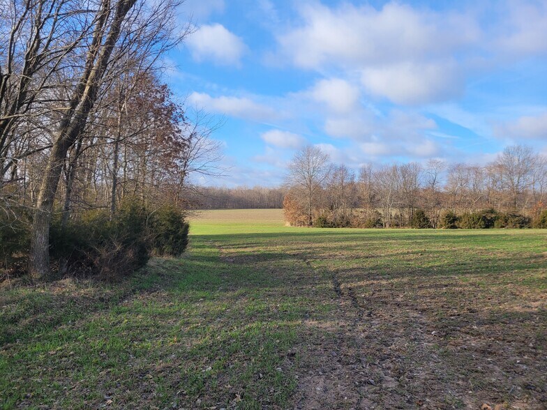 Bales Rd. (26.5+/- Acres), Middletown, MO for sale - Other - Image 2 of 20