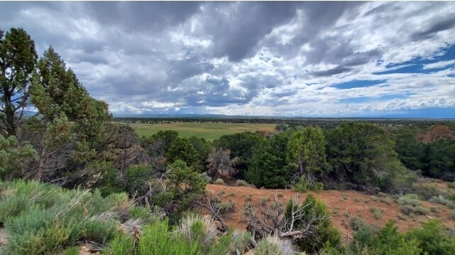 15321 Rollins Rd, Glade Park, CO for sale Other- Image 1 of 1
