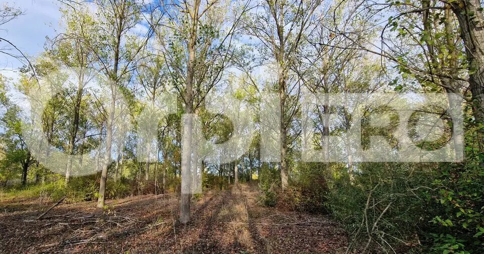 Land in Marsillargues for sale - Building Photo - Image 2 of 6