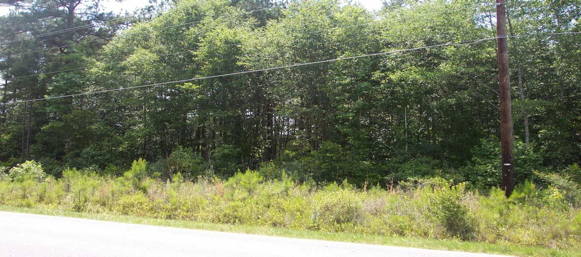 0 Mallard Rd, Summerville, SC for sale Primary Photo- Image 1 of 10