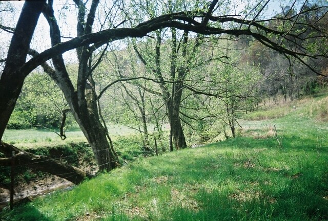 W Of Reed School House Rd, Sevierville, TN for sale - Primary Photo - Image 1 of 1