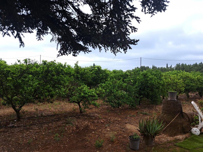 Carrer Devesa A, Vinaros, Costa Norte, 4, Vinaròs, Castellón for sale - Building Photo - Image 3 of 5