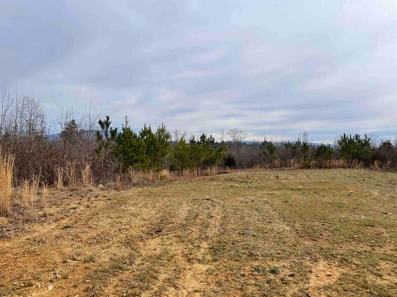 Wilson Road -1, Chatsworth, GA for sale - Building Photo - Image 1 of 1