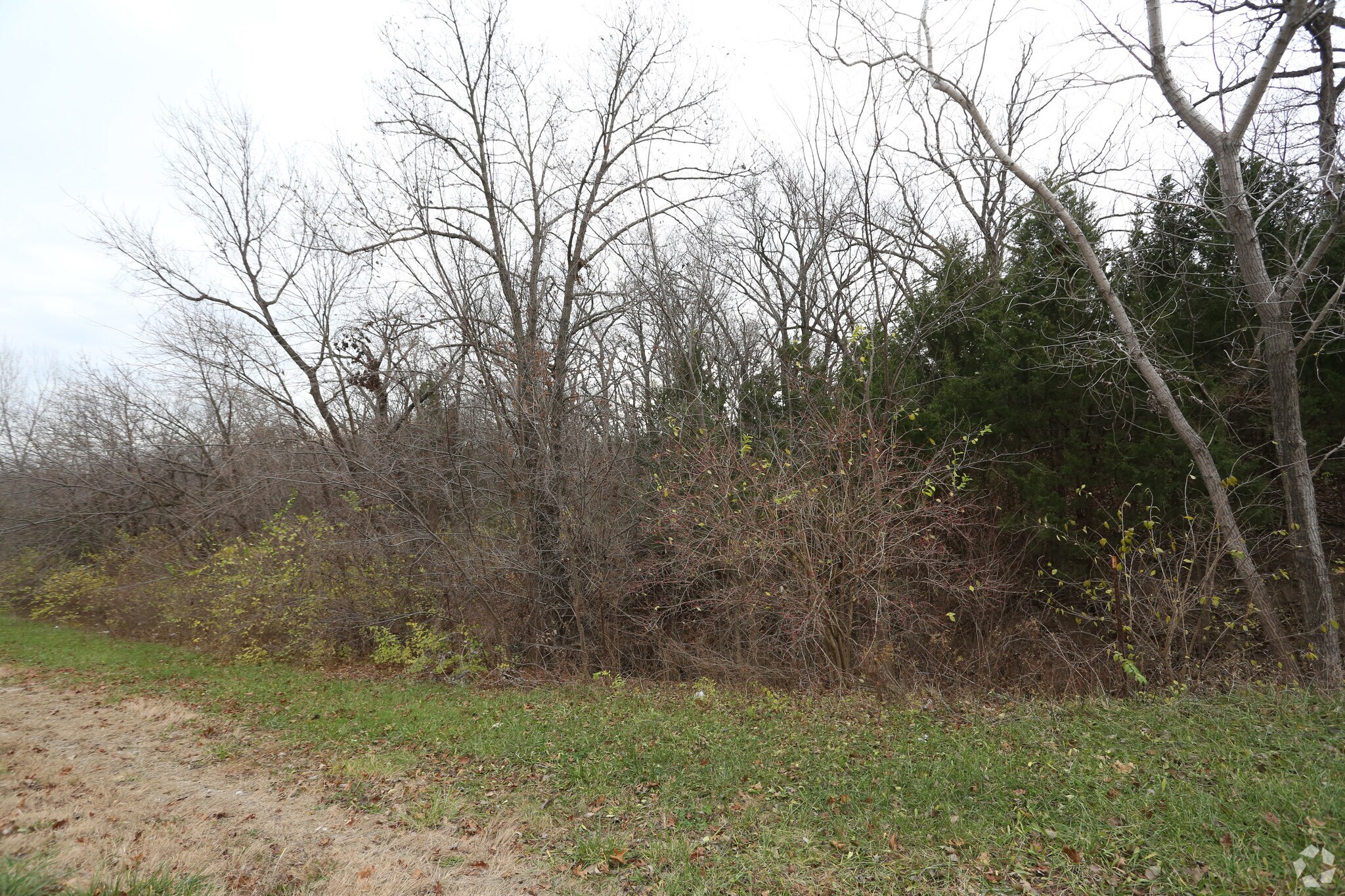 5973 Ogg Rd, Shawnee, KS for sale Primary Photo- Image 1 of 1