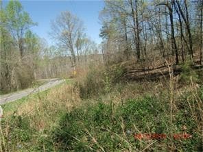 Demascus Rd, Baldwin, GA for sale Building Photo- Image 1 of 1