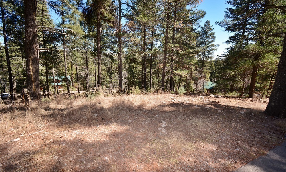 Cloud Country 2 Cloud Country, Mayhill, NM for sale Primary Photo- Image 1 of 2