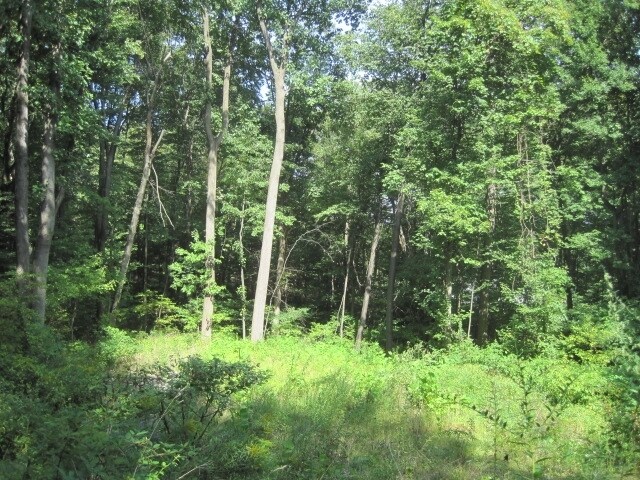 31 Winchell Rd, New Britain, CT for sale Other- Image 1 of 1