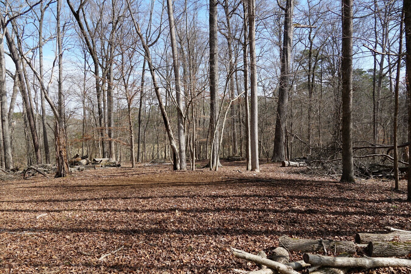 View Photo
