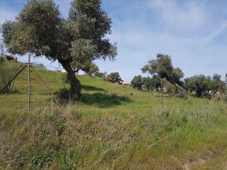 Land in Plasencia for sale - Building Photo - Image 2 of 13