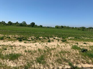 More details for 380 Highway 61 S, Natchez, MS - Land for Sale