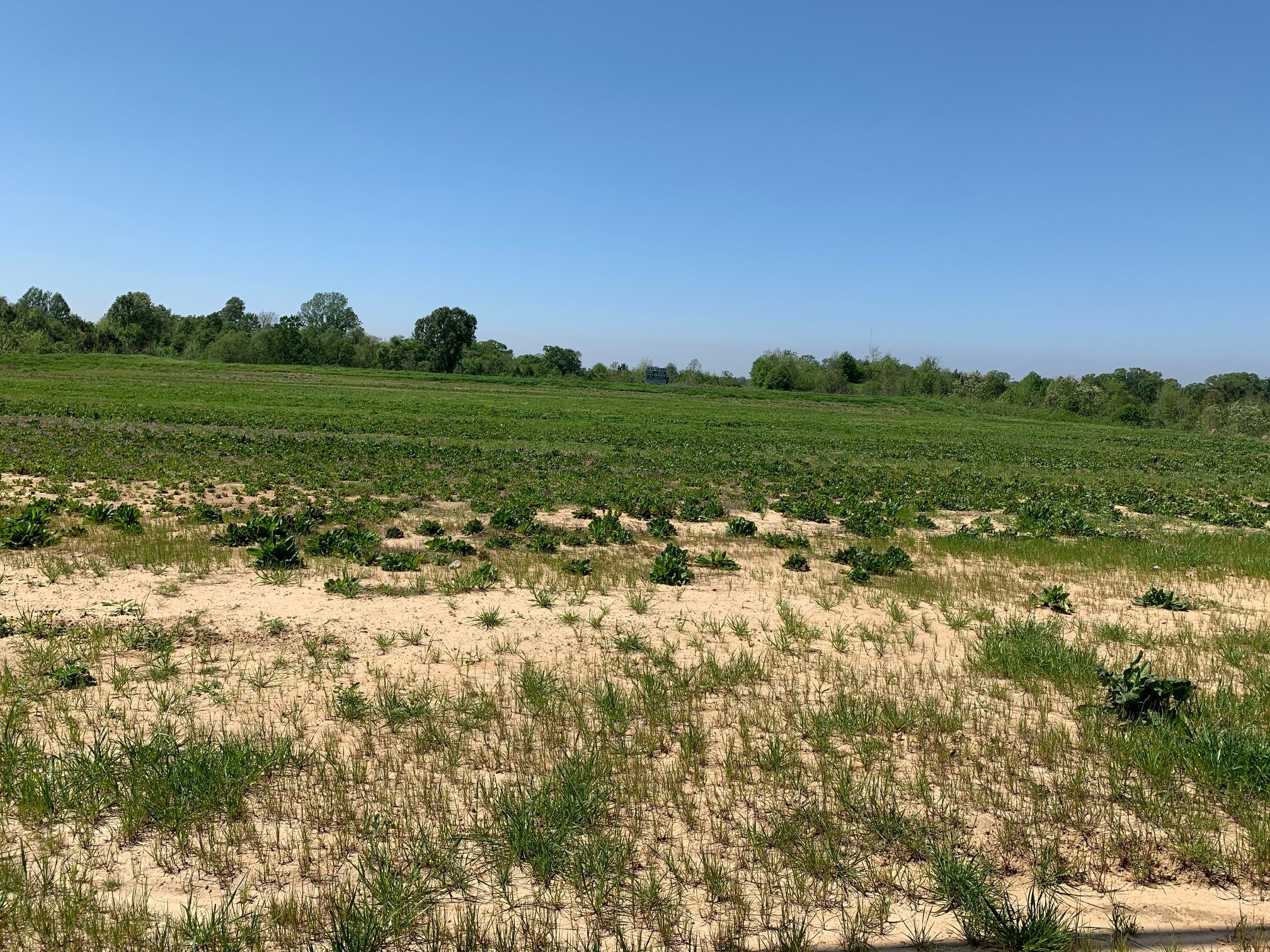 380 Highway 61 S, Natchez, MS for sale Building Photo- Image 1 of 6