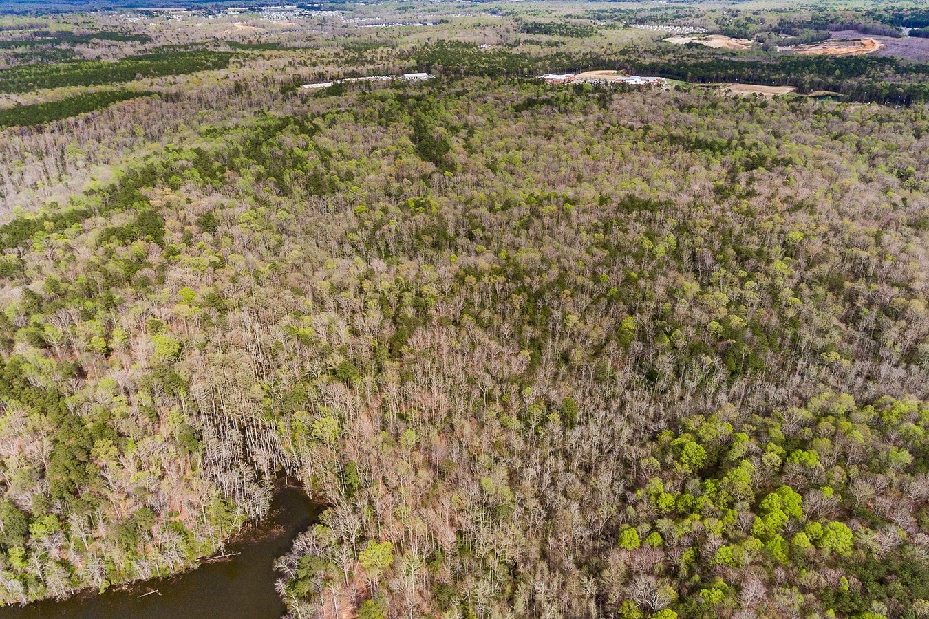 999 Jolly Pond Rd, Williamsburg, VA 23188