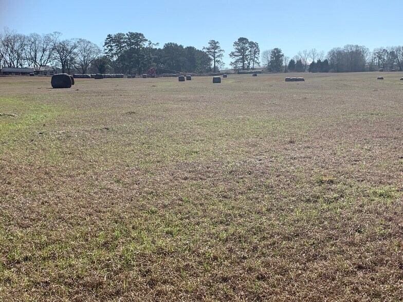 8967 Montgomery Hwy, Luverne, AL 36049 Land for Sale