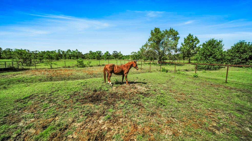 949 County Road 2061, Hull, TX for sale - Building Photo - Image 3 of 64