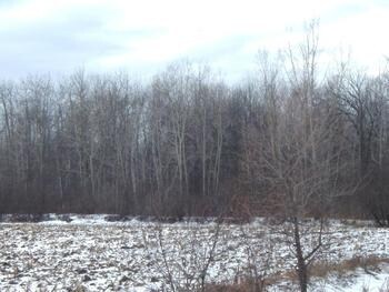 Rockwell Rd, Midland, MI for sale Primary Photo- Image 1 of 1